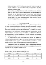 Referāts 'Reklāma masu medijos un TV', 25.