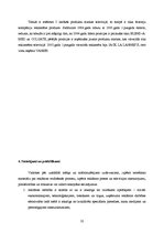 Referāts 'Reklāma masu medijos un TV', 31.