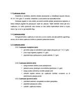 Biznesa plāns 'SIA "Miera osta"', 6.