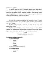 Biznesa plāns 'SIA "Miera osta"', 7.