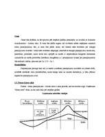 Biznesa plāns 'SIA "Miera osta"', 11.