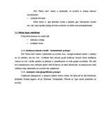 Biznesa plāns 'SIA "Miera osta"', 15.