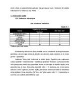 Biznesa plāns 'SIA "Miera osta"', 19.