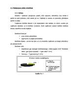 Biznesa plāns 'SIA "Miera osta"', 23.