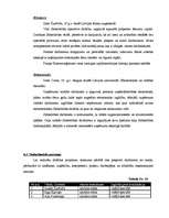 Biznesa plāns 'SIA "Miera osta"', 30.