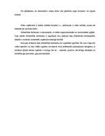 Biznesa plāns 'SIA "Miera osta"', 34.