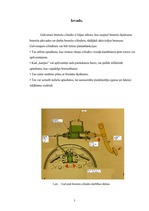 Referāts 'Galvenais bremžu cilindrs', 3.