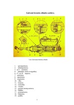 Referāts 'Galvenais bremžu cilindrs', 5.