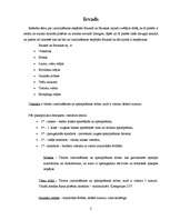 Referāts 'Izmitināšanas iespējas Bauskā un Bauskas rajonā', 2.