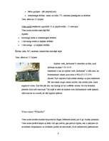 Referāts 'Izmitināšanas iespējas Bauskā un Bauskas rajonā', 9.