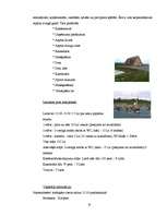 Referāts 'Izmitināšanas iespējas Bauskā un Bauskas rajonā', 10.