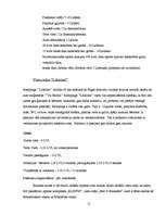 Referāts 'Izmitināšanas iespējas Bauskā un Bauskas rajonā', 11.