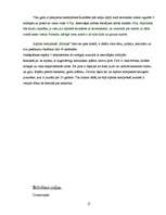 Referāts 'Izmitināšanas iespējas Bauskā un Bauskas rajonā', 12.