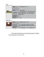 Referāts 'Izmitināšanas iespējas Bauskā un Bauskas rajonā', 14.