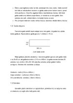 Referāts 'Banketa organizēšana', 3.