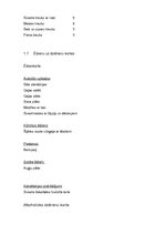 Referāts 'Banketa organizēšana', 6.