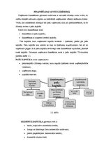 Referāts 'Uzņēmumu finansēšanas avoti', 5.