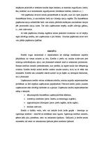 Referāts 'Uzņēmumu finansēšanas avoti', 7.