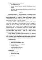 Referāts 'Uzņēmumu finansēšanas avoti', 10.