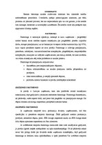 Referāts 'Uzņēmumu finansēšanas avoti', 11.