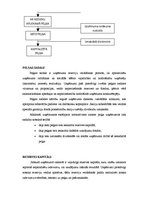 Referāts 'Uzņēmumu finansēšanas avoti', 13.