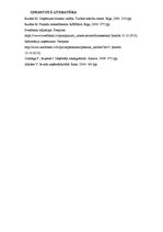 Referāts 'Uzņēmumu finansēšanas avoti', 16.