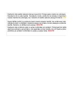 Konspekts 'SIA "Ixis" jeb "Sexy Style" finanšu datu analīze', 21.