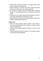 Referāts 'Inventarizācijas būtība un tās organizēšanas kārtība uzņēmuma grāmatvedībā', 29.