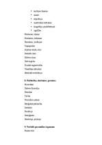 Eseja 'Cilvēka personības raksturojums', 5.