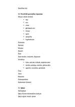 Eseja 'Cilvēka personības raksturojums', 6.