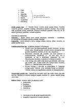 Konspekts 'Mikrosocioloģijas teorijas', 7.