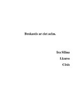 Eseja 'Manas atziņas par cilvēkiem ar īpašām vajadzībām (slikta redze)', 1.