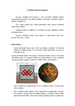 Konspekts 'Lieldienas', 1.