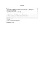 Referāts 'Iesaukas, mīļvārdiņi un hipokoristikas latviešu valodā', 2.