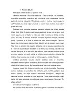 Referāts 'Iesaukas, mīļvārdiņi un hipokoristikas latviešu valodā', 22.