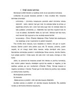 Referāts 'Iesaukas, mīļvārdiņi un hipokoristikas latviešu valodā', 23.