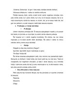 Referāts 'Iesaukas, mīļvārdiņi un hipokoristikas latviešu valodā', 29.