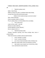 Referāts 'Iesaukas, mīļvārdiņi un hipokoristikas latviešu valodā', 31.