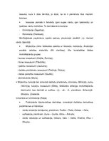 Referāts 'Iesaukas, mīļvārdiņi un hipokoristikas latviešu valodā', 51.