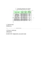 Paraugs 'Informācijas tehnoloģija', 7.