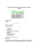 Paraugs 'Informācijas tehnoloģija', 8.