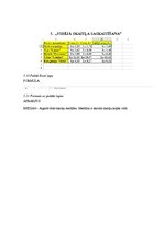 Paraugs 'Informācijas tehnoloģija', 9.