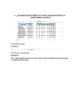 Paraugs 'Informācijas tehnoloģija', 13.