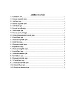 Paraugs 'Informācijas tehnoloģija', 17.