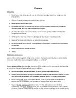 Konspekts 'Kaspara dzīvesstāsts romānā "Mērnieku laiki"', 1.