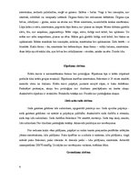 Prakses atskaite 'Aprūpes plāns. Ginekoloģija', 4.