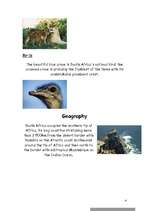 Referāts 'South Africa', 4.