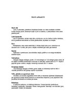 Biznesa plāns 'Viesu nama apraksts', 4.