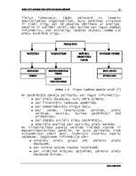 Diplomdarbs 'Tirgus izpēte un mārketinga iespēju noteikšana uzņēmumā', 18.