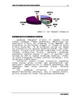 Diplomdarbs 'Tirgus izpēte un mārketinga iespēju noteikšana uzņēmumā', 48.